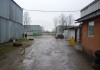 Фото Сдаются складские ангары по 900 кв.м. в п. Понтонный Колпинского р-на
