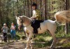 Фото Верховая езда для взрослых и детей в Вырице, Гатчинский район. Иппотерапия. Фотосессии с лошадьми.